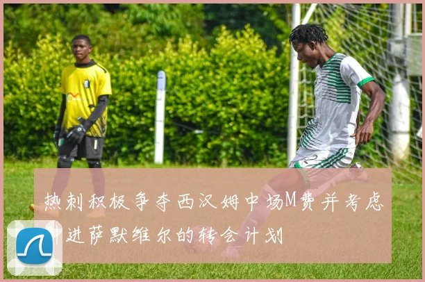 热刺积极争夺西汉姆中场M费并考虑引进萨默维尔的转会计划
